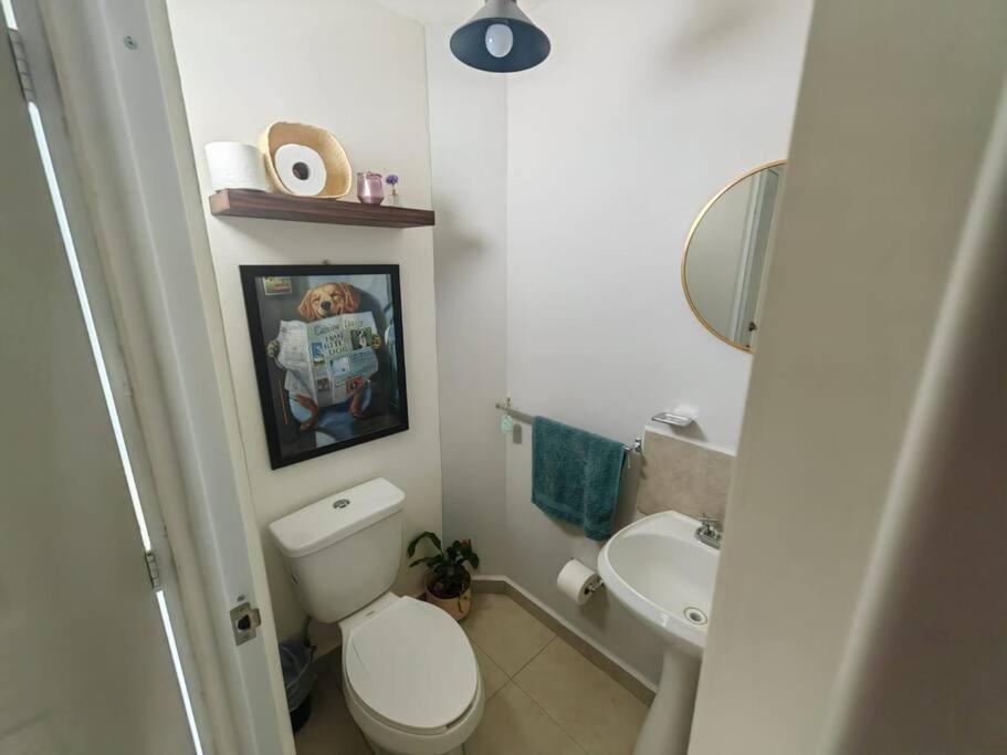 Casa Meraki Querétaro Dış mekan fotoğraf